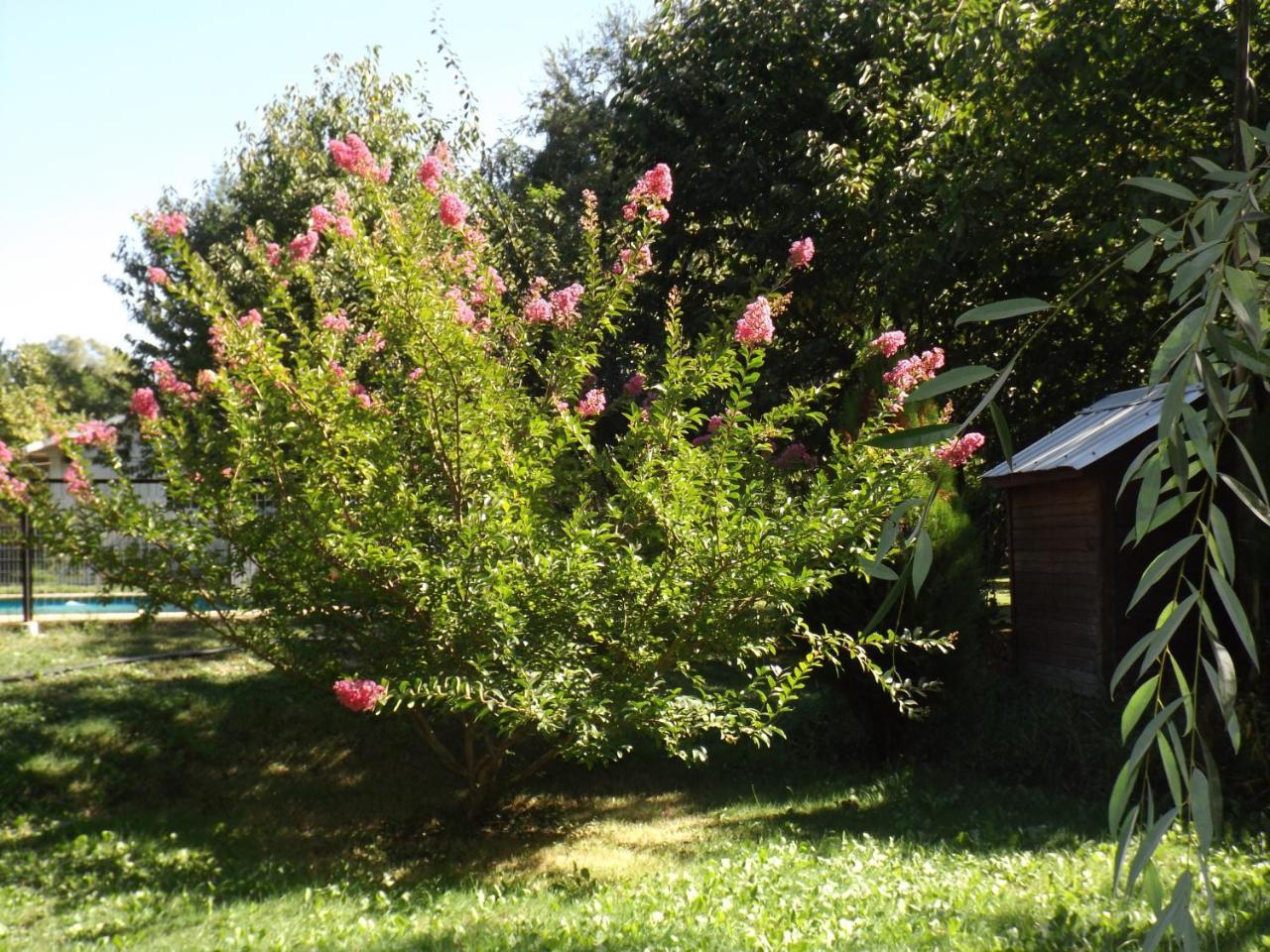Cabanas Aguas Claras Pinto 外观 照片